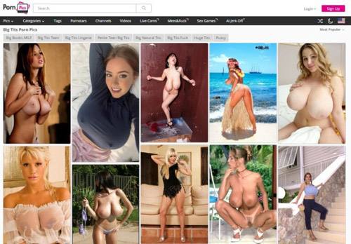 PornPics Big Tits
